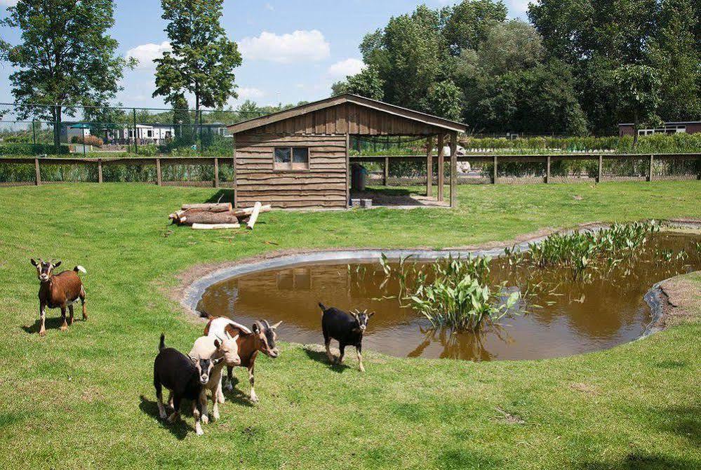 Europarcs De Biesbosch Hotel Willemsdorp ภายนอก รูปภาพ